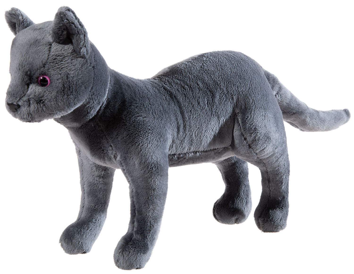 Kater "Karajan" Schule der magischen Tiere 30cm