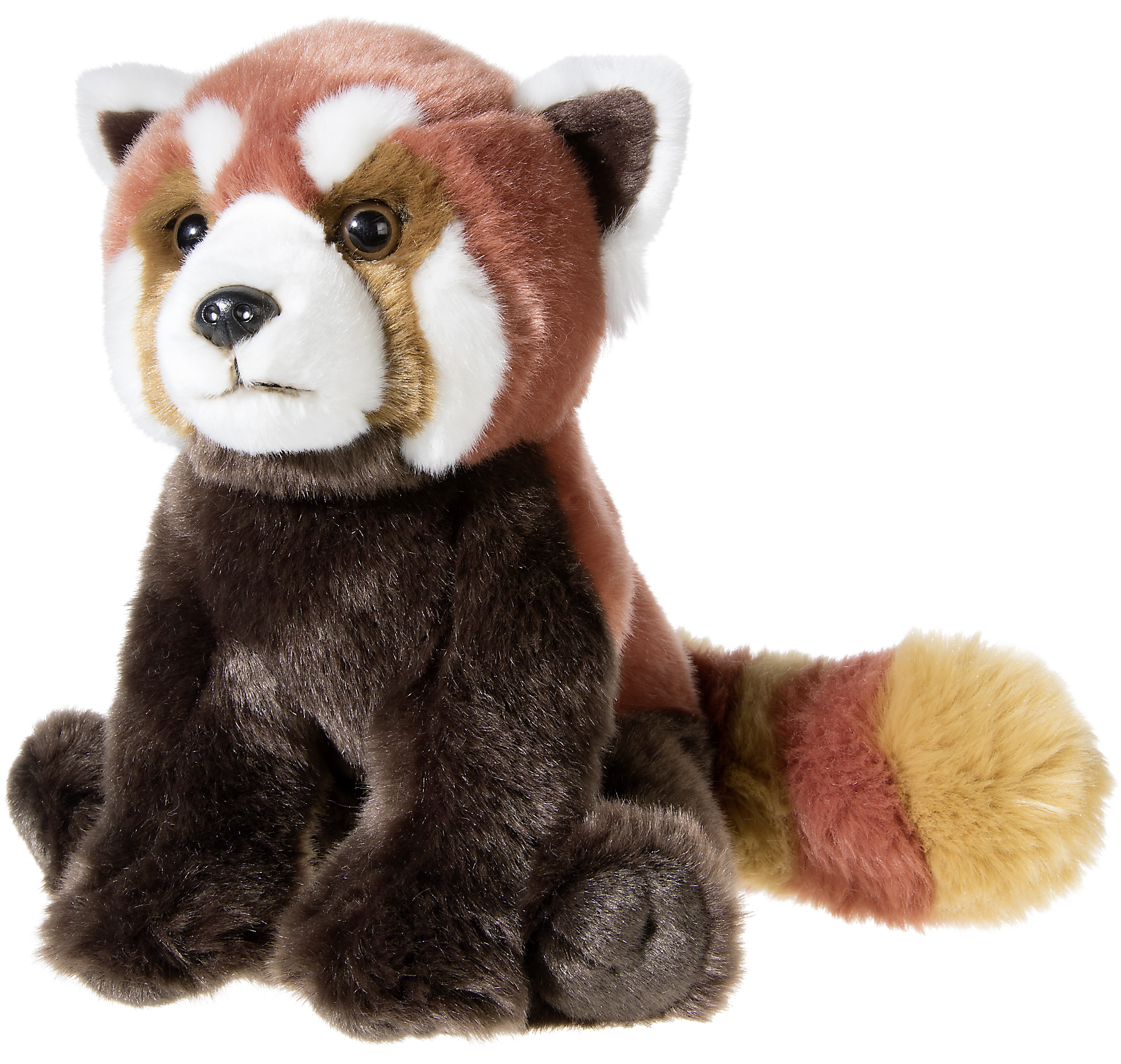 Roter Panda Bedrohte Tiere 30cm