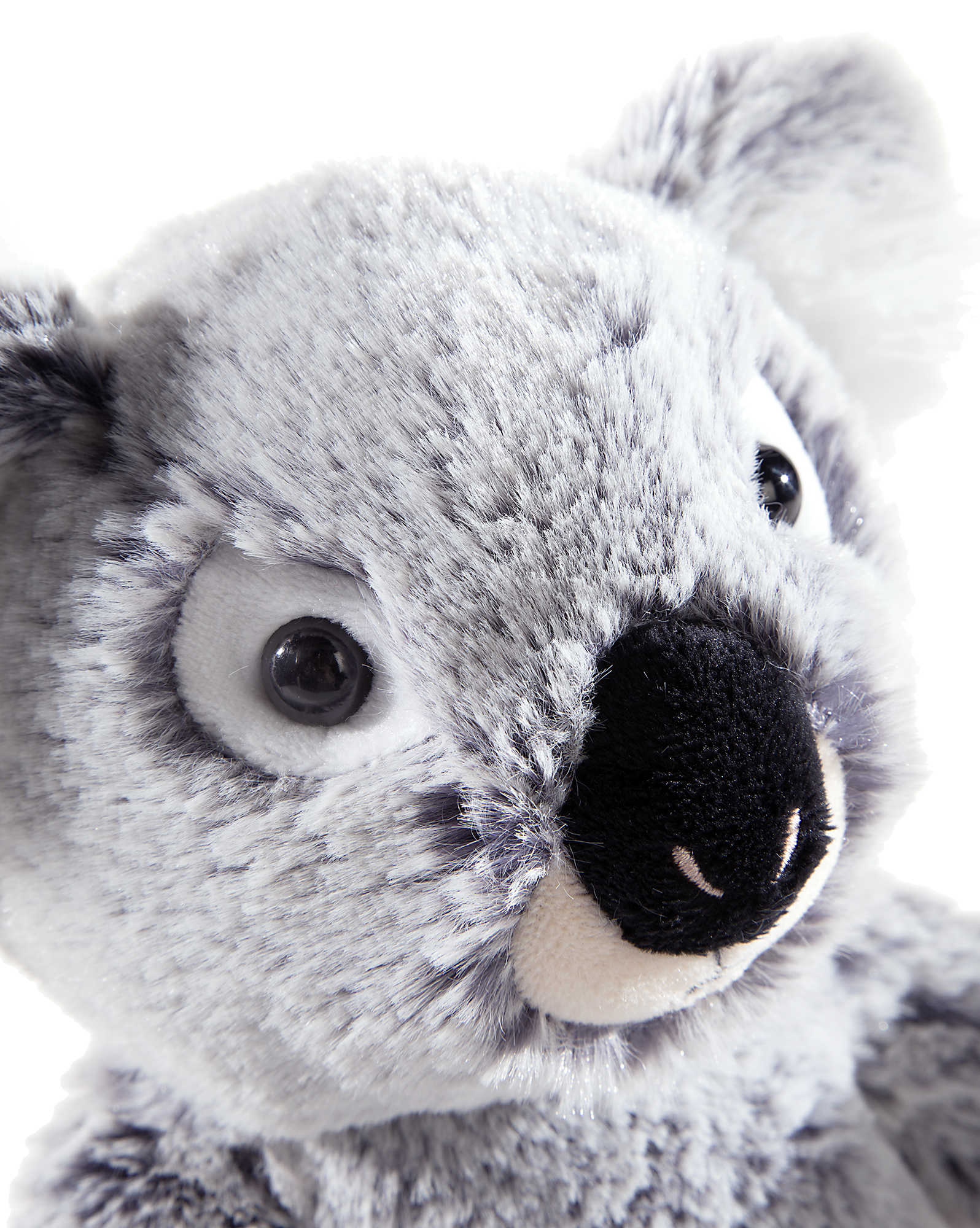 Heunec Koala Bär aus der Misanimo Serie in 20cm Größe - Detailbild Kopf